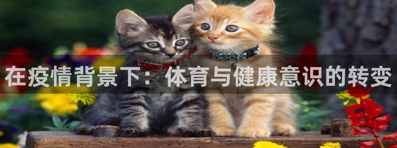 三亿体育登录：在疫情背景下：体育与健康意识的转变