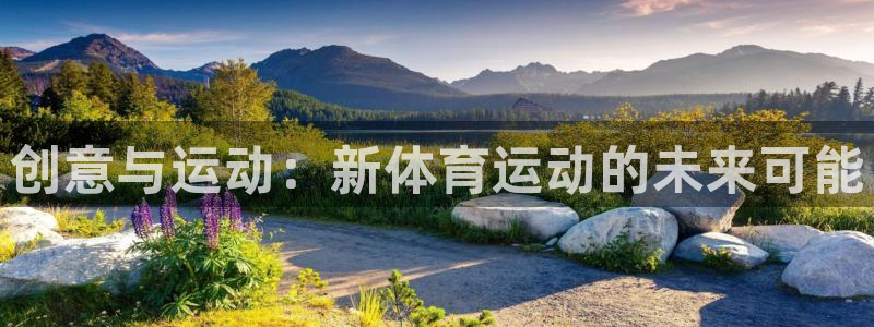 三亿体育网页版