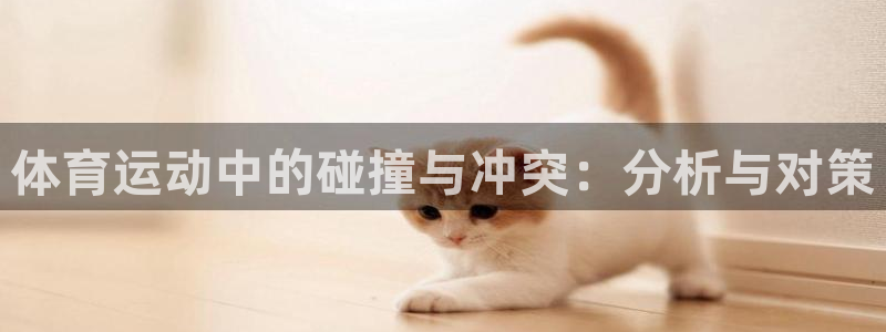 三亿体育网页版