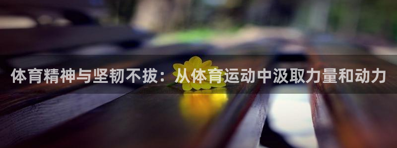 三亿体育登录：体育精神与坚韧不拔：从体育运动中汲取力量和动力