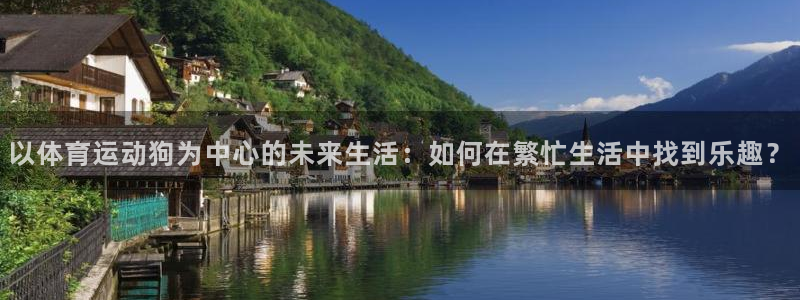 三亿体育登录：以体育运动狗为中心的未来生活：如何在繁忙生活中找到乐趣？