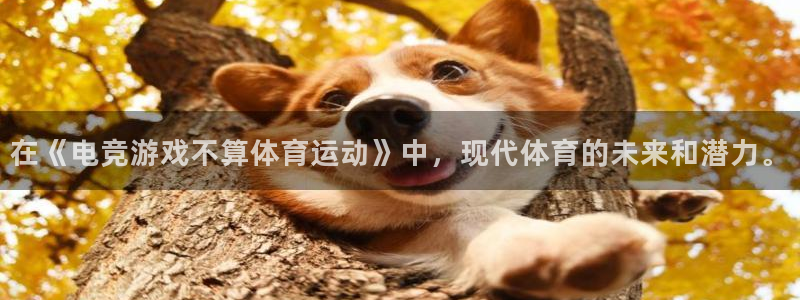 三亿体育网：在《电竞游戏不算体育运动》中，现代体育的未来和潜力。