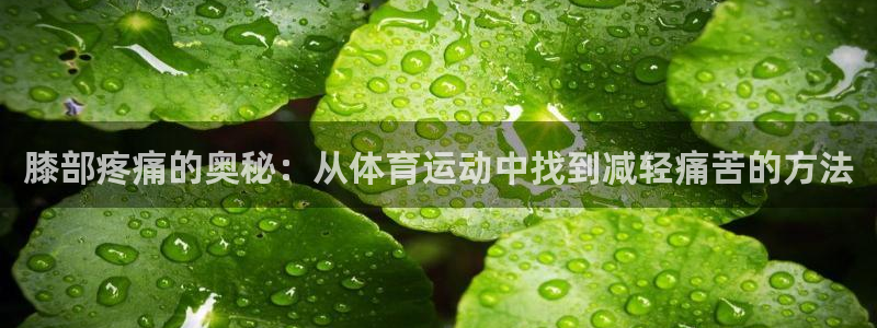 三亿体育网：膝部疼痛的奥秘：从体育运动中找到减轻痛苦的方法