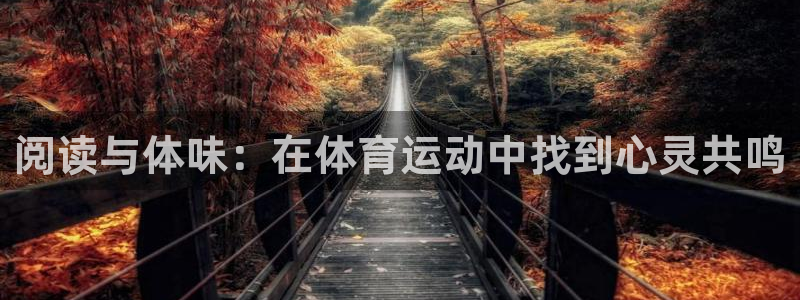 三亿体育网页版：阅读与体味：在体育运动中找到心灵共鸣