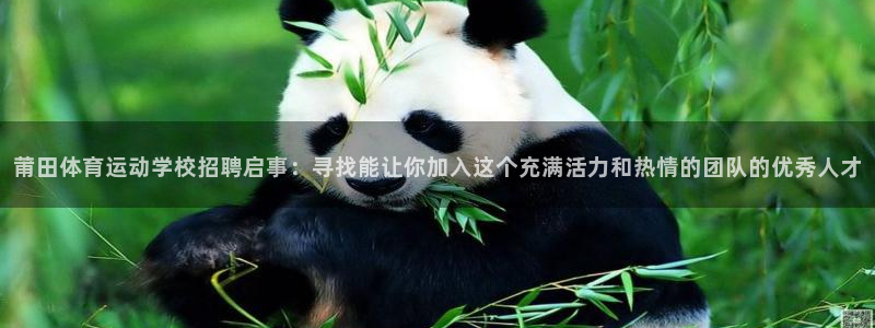 三亿体育网：莆田体育运动学校招聘启事：寻找能让你加入这个充满活力和热情的团队的优秀人才
