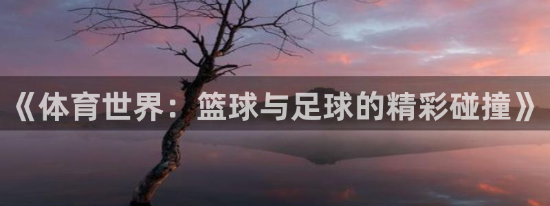 三亿体育网：《体育世界：篮球与足球的精彩碰撞》