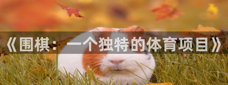 三亿体育网页版：《围棋：一个独特的体育项目》