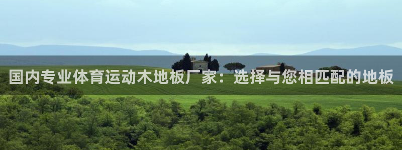 三亿体育：国内专业体育运动木地板厂家：选择与您相匹配的地板
